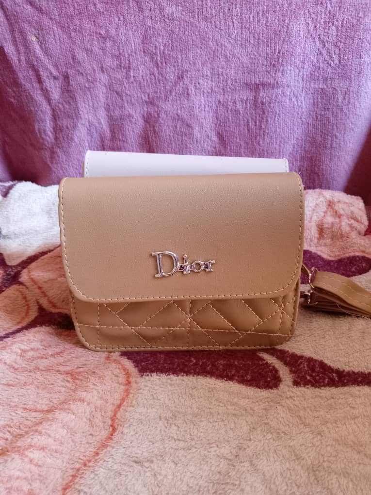 شنط Dior